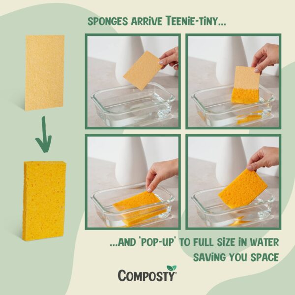 Composty Magic Pop-Up Eco Sponges, Single, Pack 6, Pack 12 - Image 4