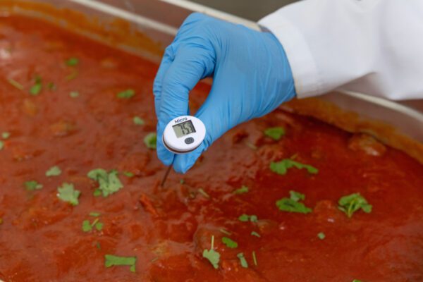 Micro Pocket Thermometer