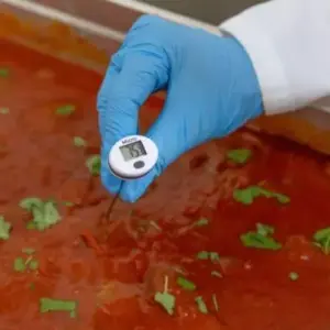 micropocket thermometer